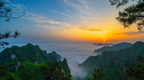 張家界森林公園（金鞭溪、袁家界、楊家界、天子山、十里畫廊）住山上2天1游（可看日出）